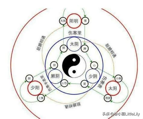 何謂陰陽|通讀《黃帝內經》之153：人有陰陽，何謂陰人，何謂陽人？